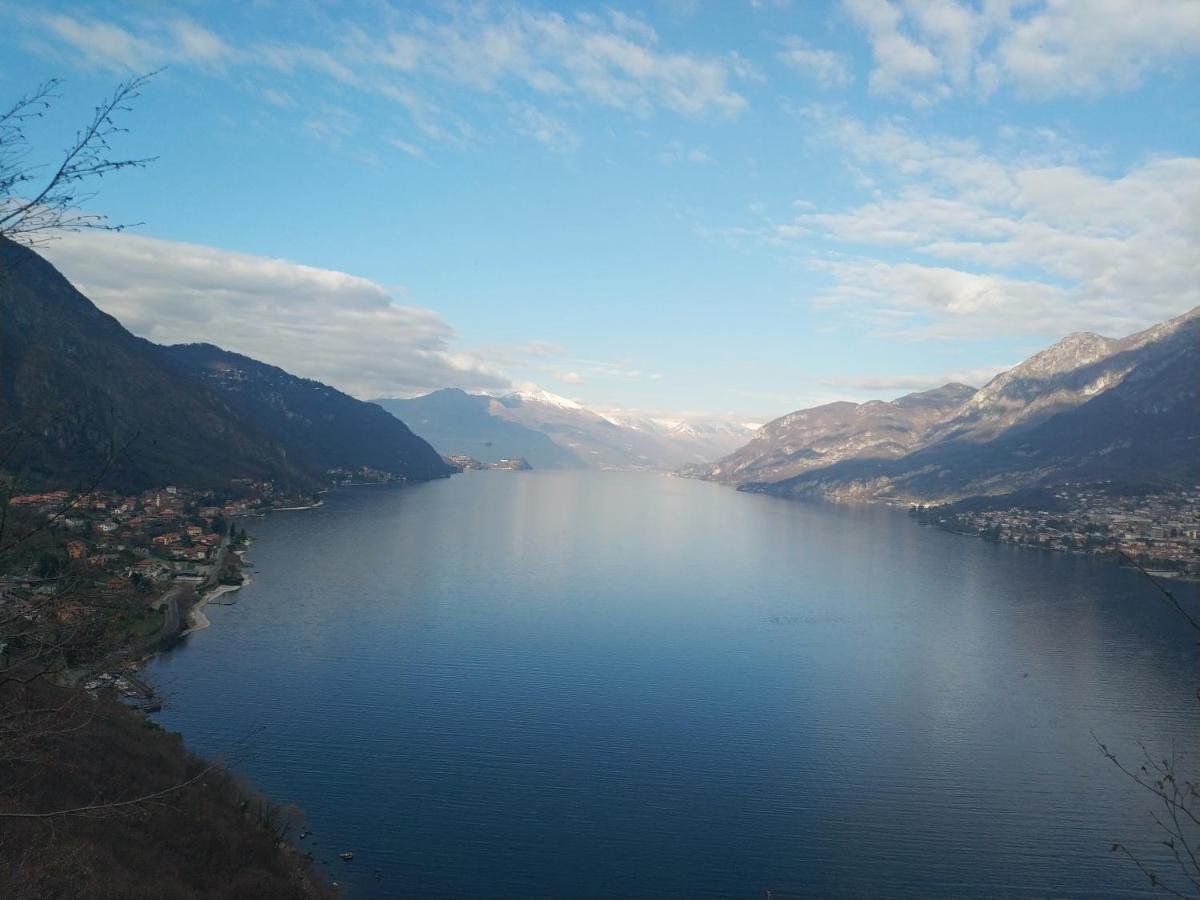 Apartment A Lago Private Beach And Parking Oliveto Lario Extérieur photo