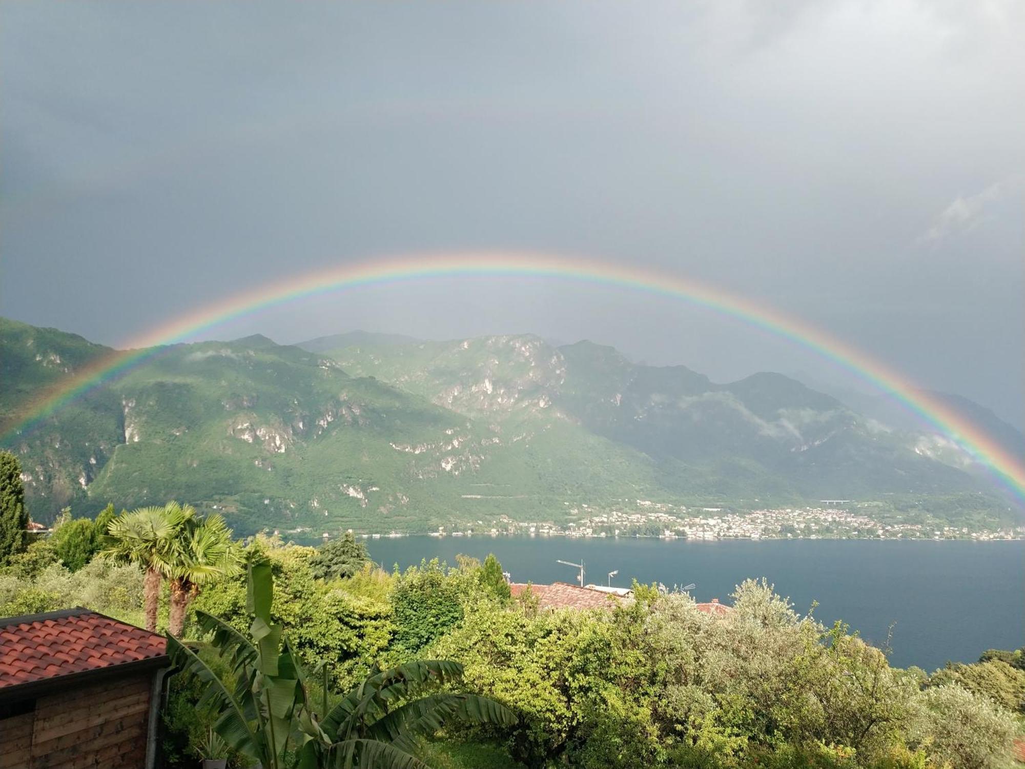 Apartment A Lago Private Beach And Parking Oliveto Lario Chambre photo