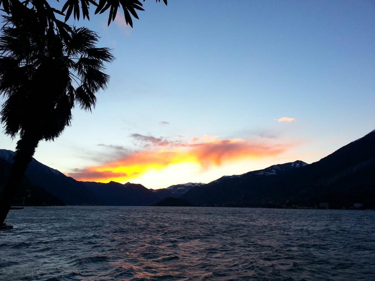 Apartment A Lago Private Beach And Parking Oliveto Lario Extérieur photo