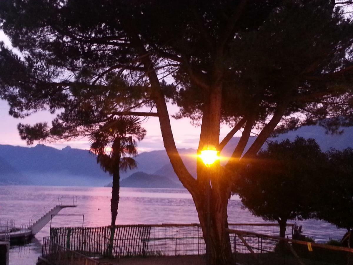 Apartment A Lago Private Beach And Parking Oliveto Lario Extérieur photo